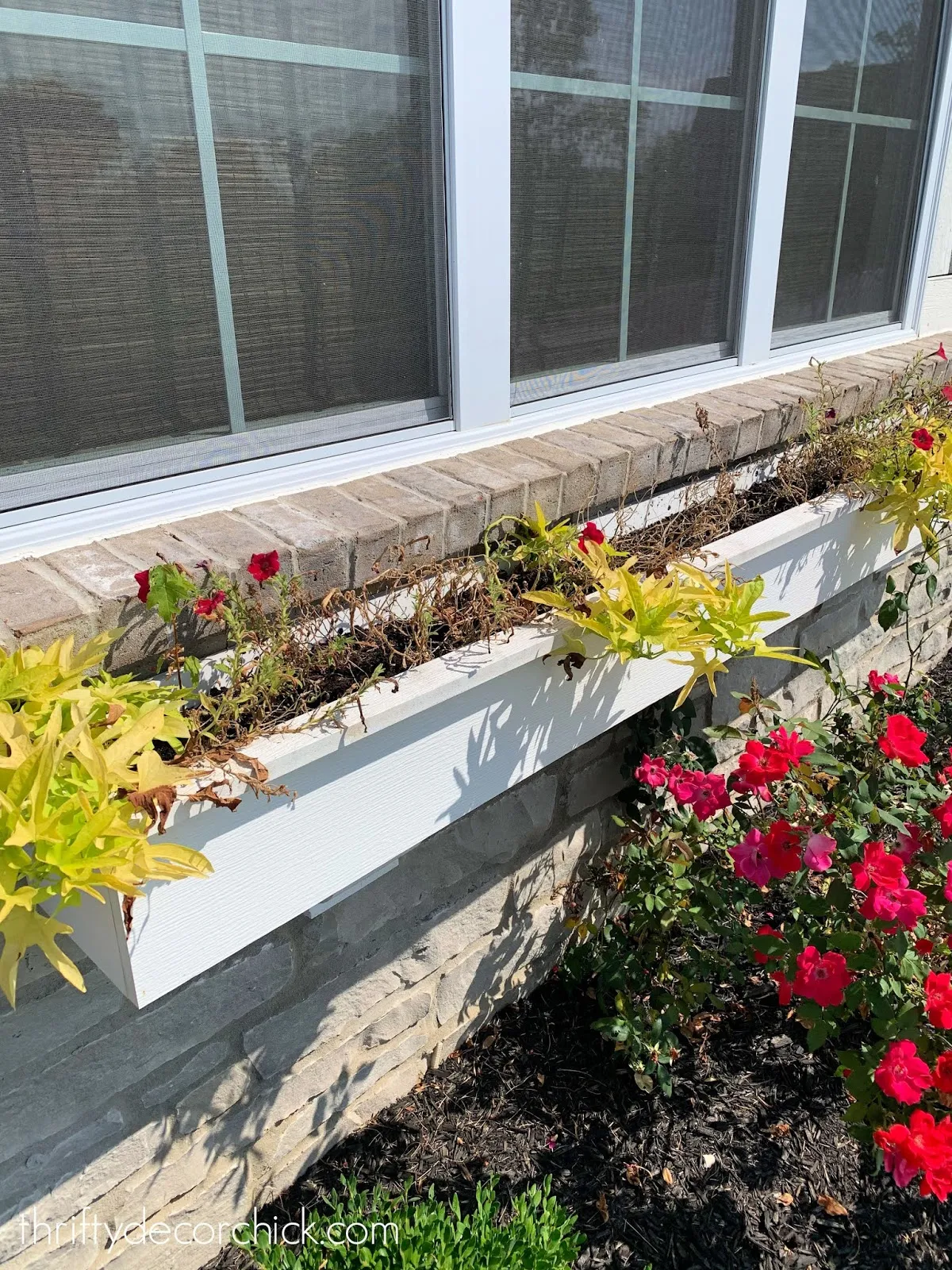 Transitioning to fall window boxes