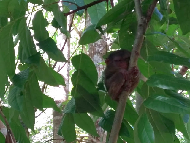 ПОЕХАЛИ!!!!!!! На Филиппинах нах и в восхитительных