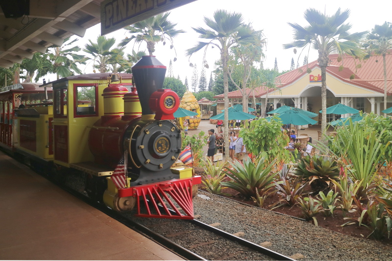 A Changing Landscape Pineapples And Gardens At Dole Plantation