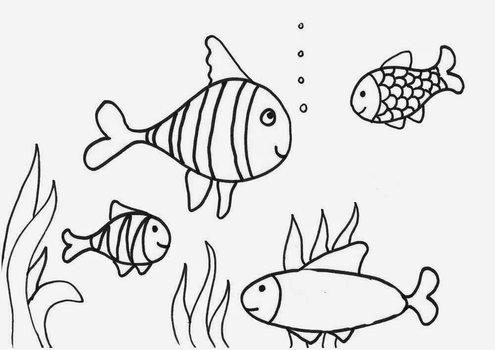 Gambar Mewarnai Ikan Gambar Mewarnai Lucu