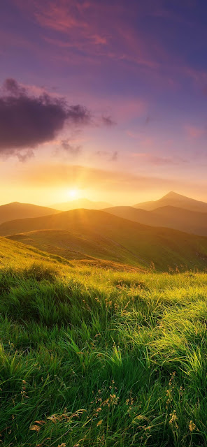 Download Nature Wallpaper For iPhone