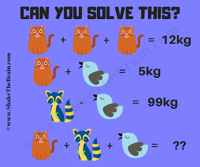 Math Brain Teaser for 2nd Graders: Simultaneous Equations