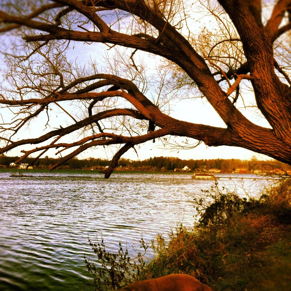 WORSHIPOETRY Tumbleweeds and Riverside Trees