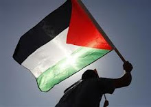Solidaridad con palestina, contra la ocupación israelí
