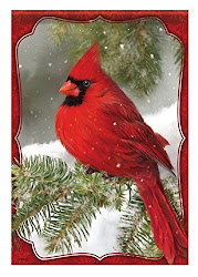 Pajarito cardenal, el del mensaje divino