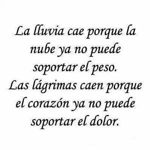 imagenes con frases hirientes para hombres imagenes con frases hirientes para hombres
