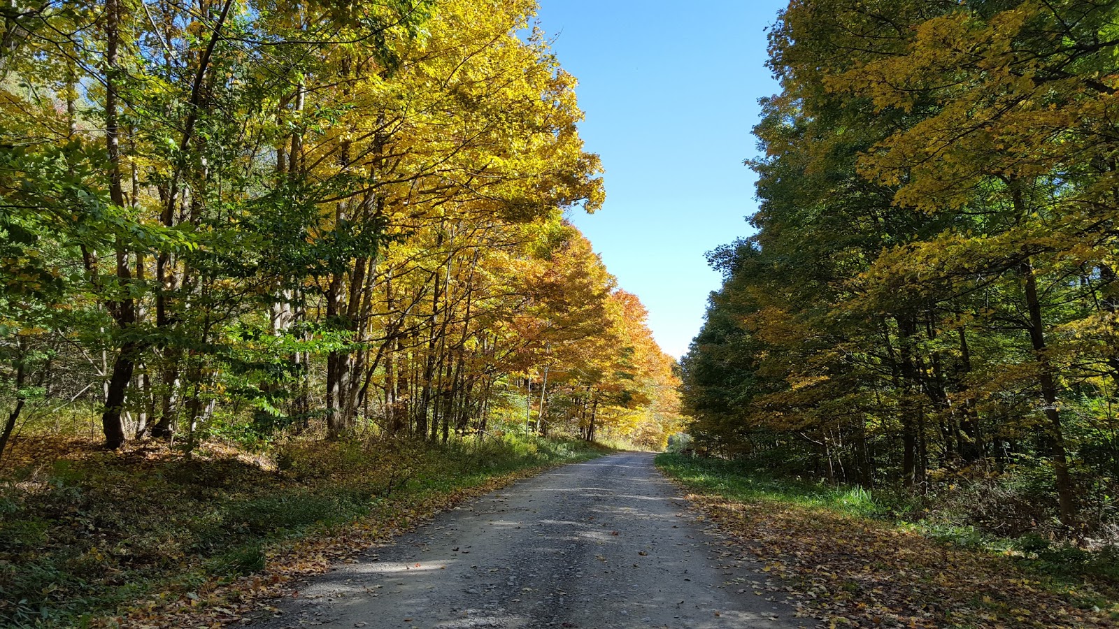 Sara Hikes... But Not Enough North Country Trail Stoney Brook Road