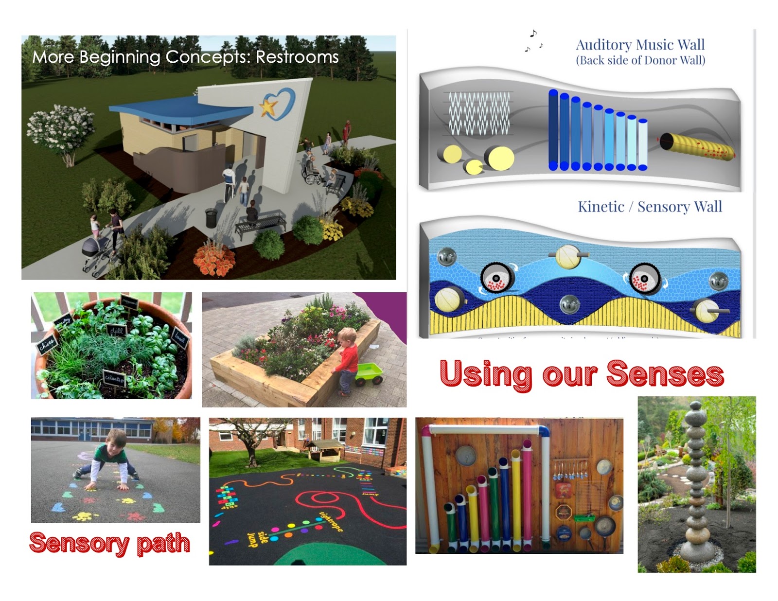 Sensory area concept