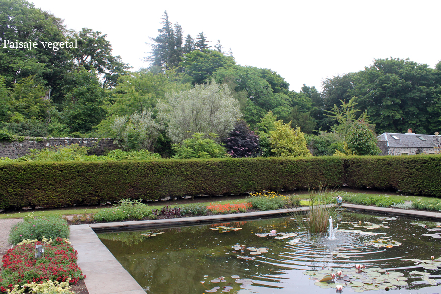 Paisaje vegetal: Escocia - Isla de Skye - Dunvegan Castillo y jardines