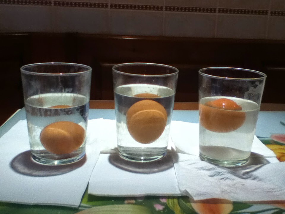 Science Fair CEIPSO El Cantizal HUEVO