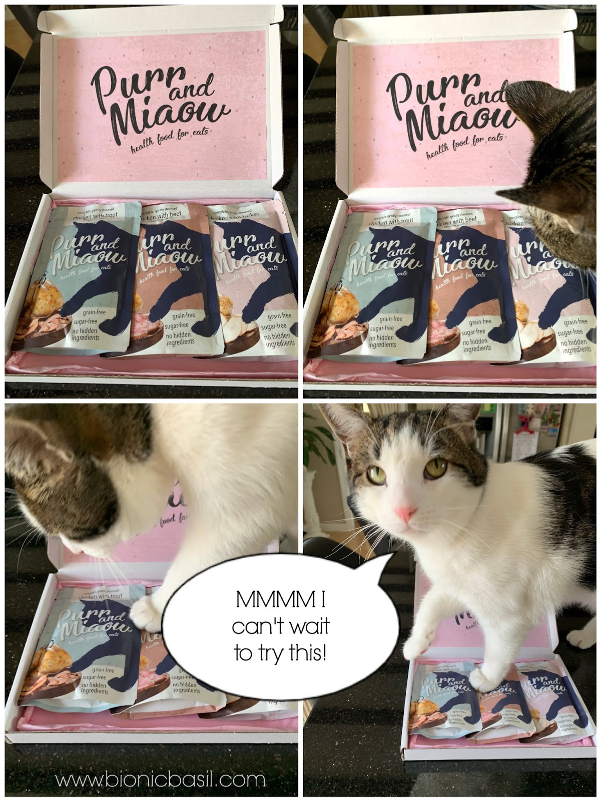 Bionic Basil® home of Basil and The B Team Purr and Miaow Health Food