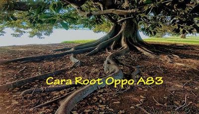  Rooting yakni aktifitas membukan kunci keselamatan metode sehingga pengguna mendapat hak Pengalaman...Cara Root Oppo A83 RAM 2GB Ala XDA