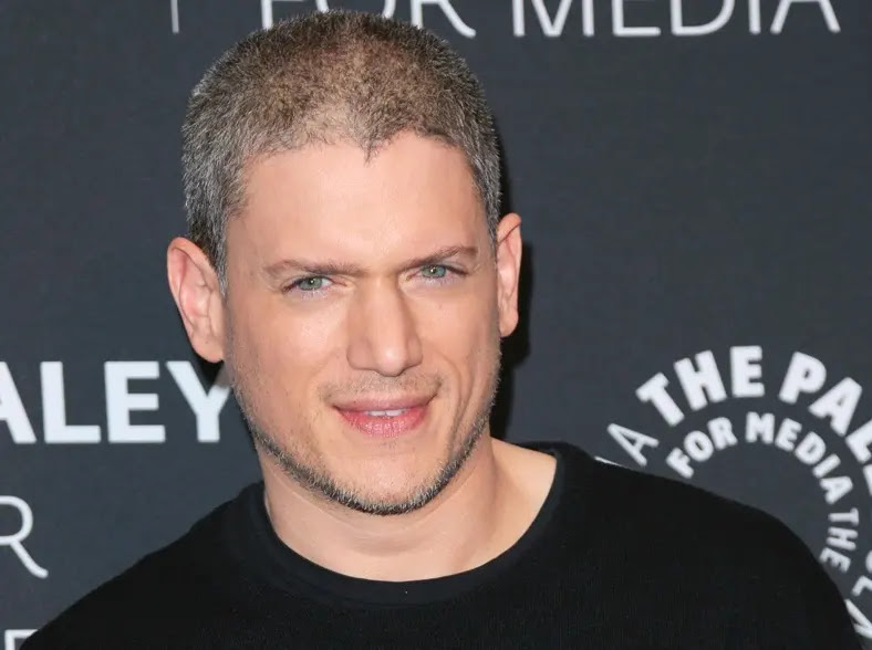 Wentworth Miller's Net Worth