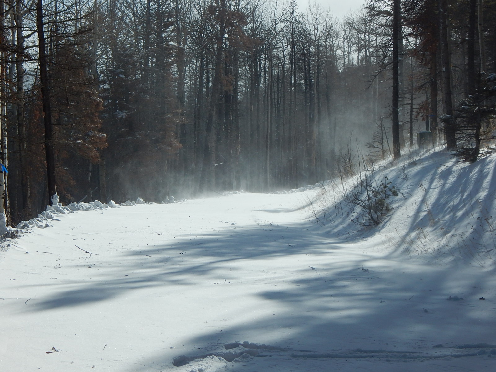 McElmurray's Mountain Retreat! Blowing Snow