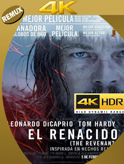 El Renacido (2015) REMUX [4K HDR] Latino [Google Drive] Panchirulo