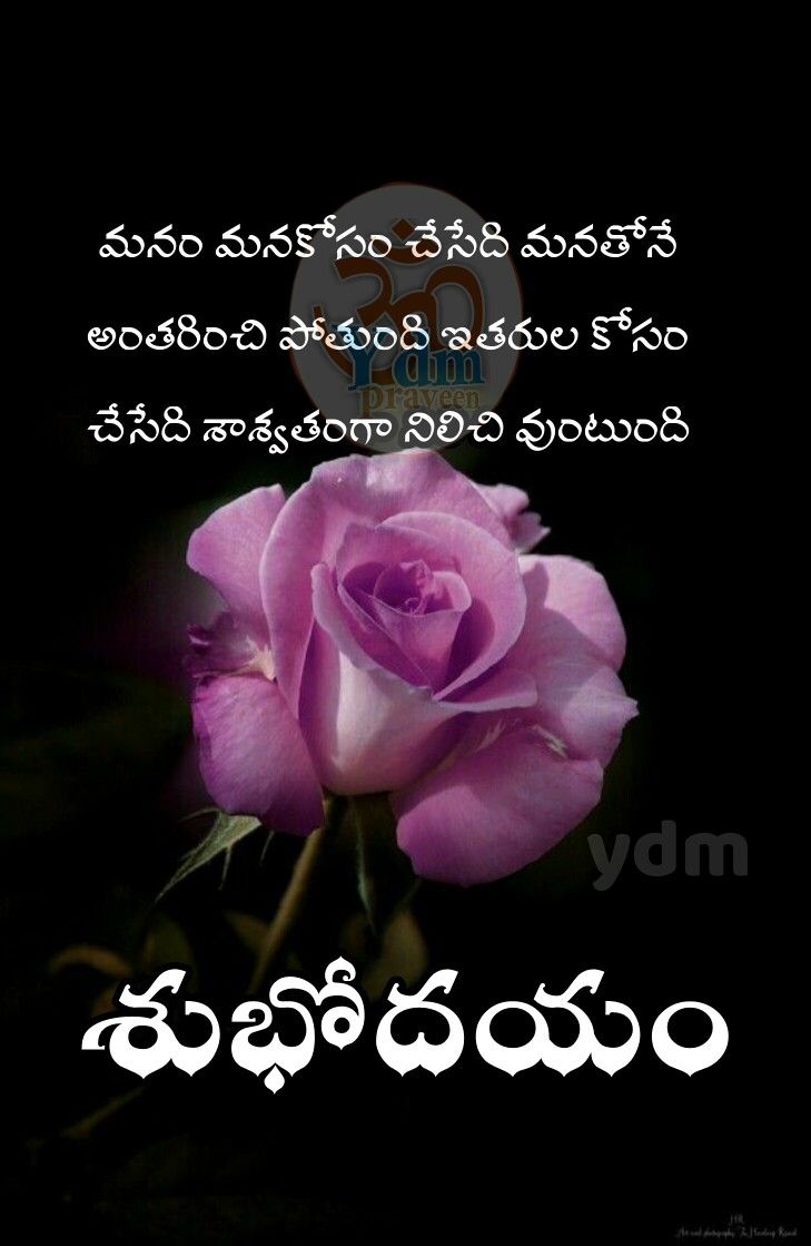 good morning images in telugu