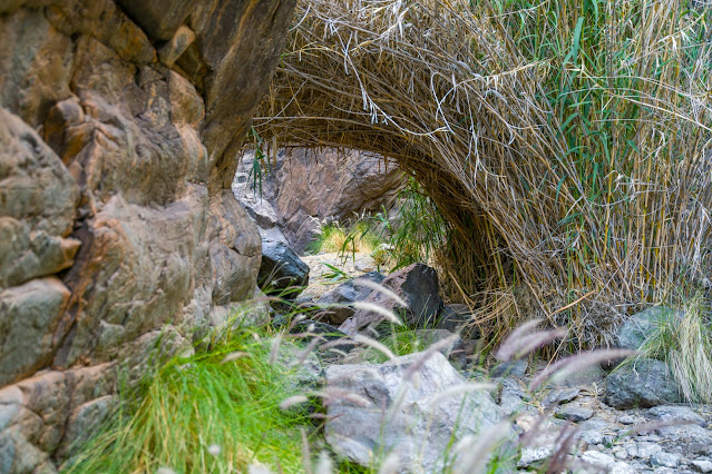 Wanderung zu den Wasserfällen im Barranco del Toro | San Agustín/Maspalomas | Wandern auf Gran Canaria 10