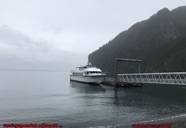 Kenai Fjords Tour Resurrection Bay