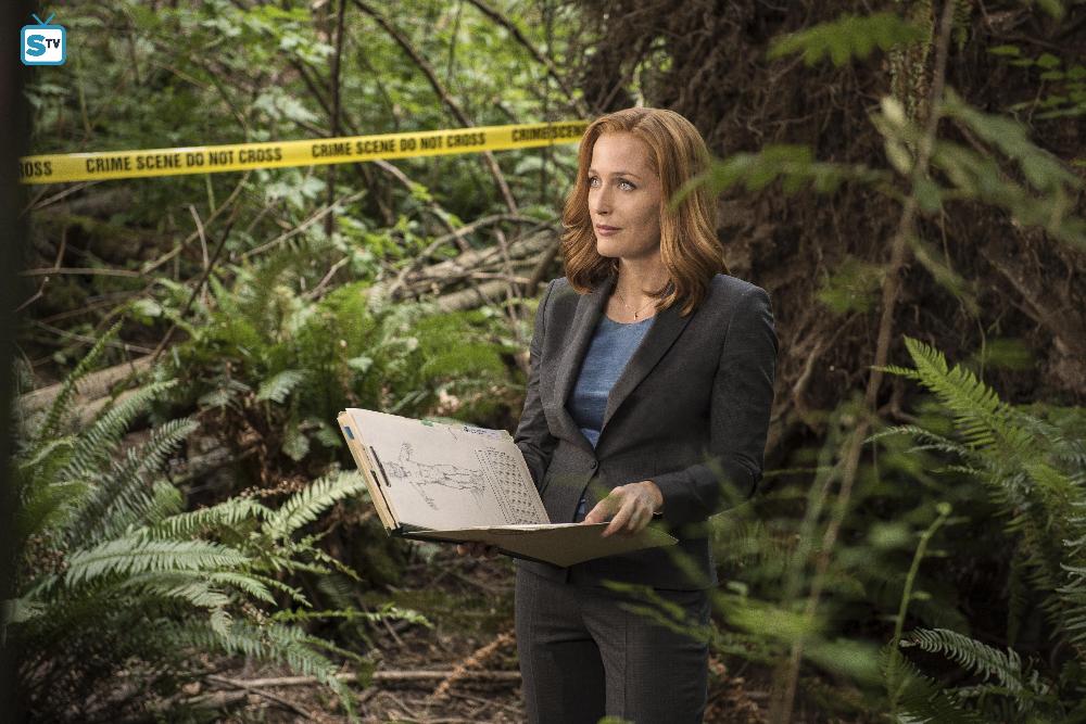 The X-Files - Episode 10.03 - Mulder & Scully Meet the Were-Monster - Press Release & Promotional Photos *Updated* 