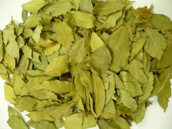 Rumah Anda Banyak Kecoa Coba Terapkan Aneka Cara Mengusir Kecoa Ini Blognya Mas Adi Rumah Anda Banyak Kecoa Coba Terapkan Aneka Cara Mengusir Kecoa Ini Blognya Mas Adi