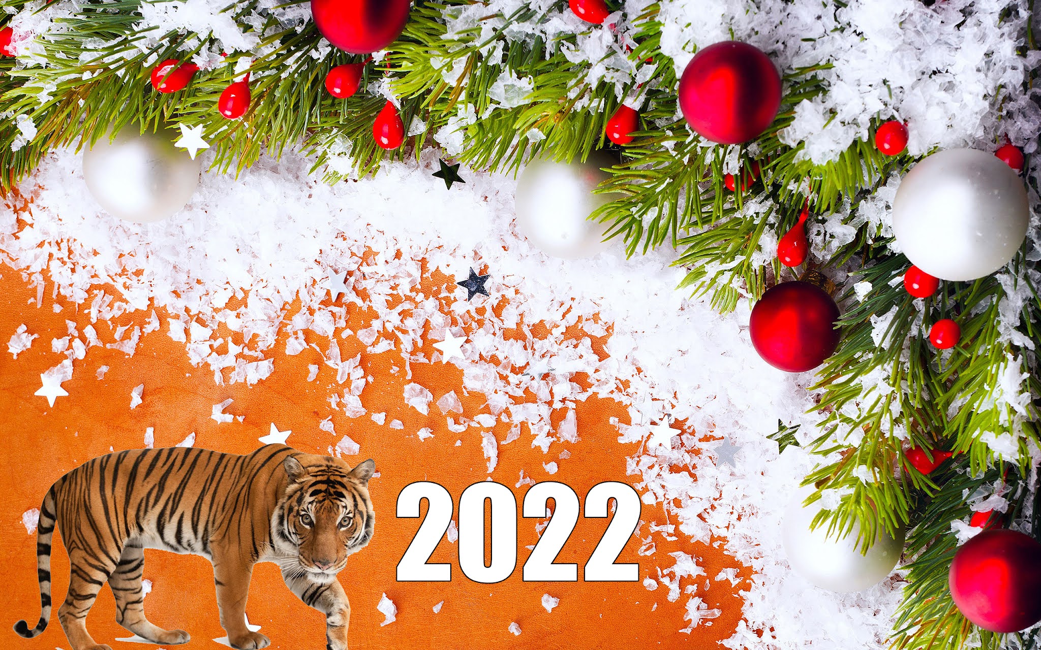 虎の年のためのカラフルな新年の絵2023
