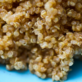 Fluffy Quinoa