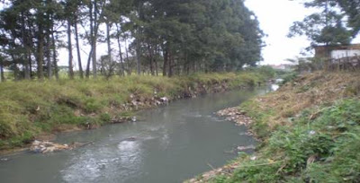 GAZETA CENTRAL BLOG : OS OSDORICOS DE GUARULHOS O RIO BAQUIRIVU OS RECURSO DE MAIS R$ 700 ...
