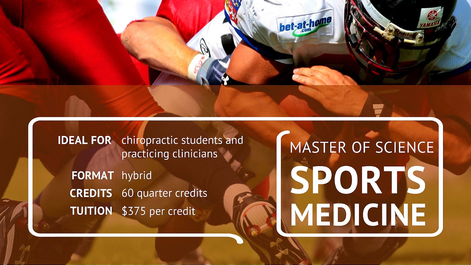 Master Of Science In Sports Medicine Medicine Choices