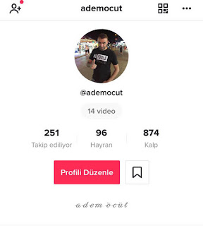 dev tiktok sinirsiz izlenme takipci