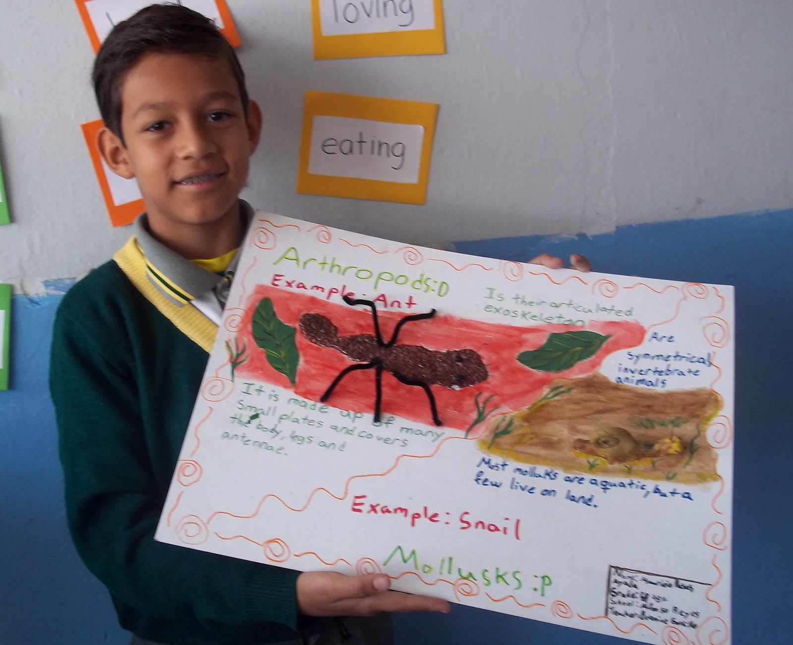 My English Class: 5th grade B Science Project (Invertebrates)