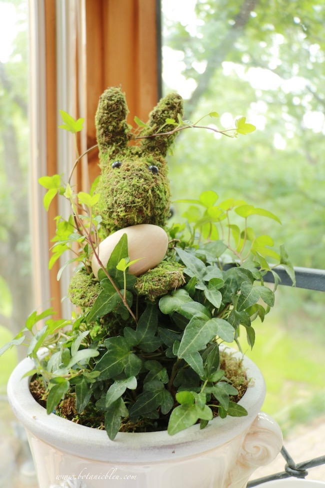 ivy-moss-bunny-brings-a-fresh-look-to-kitchen