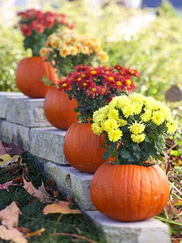 Good Bye Summer... Hello Fall - Preppy Empty Nester F