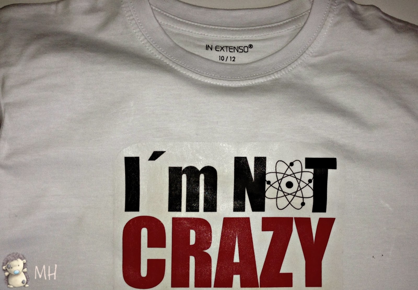 Camiseta Teoría del Big Bang