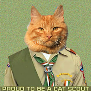 Cat Scout Hazuzu