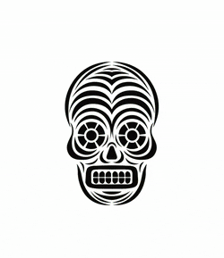 Flashing images of different skeleton faces. Gif by gyfycat.com