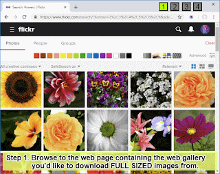 Bulk Image Downloader 5.45 برنامج لمساعدتك في تنزيل معارض الصور الكبيرة بنقرة واحدة