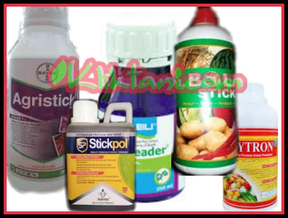 Perekat Pestisida Paling Kuat Terbaik Dan Mantap Kliktani Com