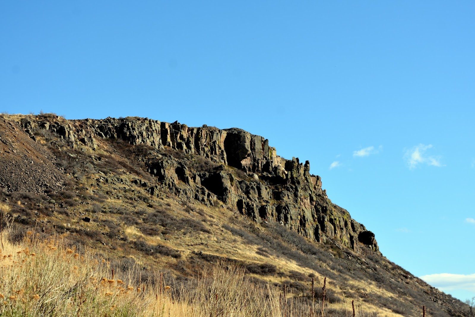 Mille Fiori Favoriti North Table Mountain Trail and Park, Golden, Colorado