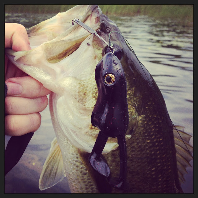 Bass Junkies Frog Pond: Stanley Ribbit Top Toad Review