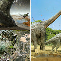 Penemuan 7 Fosil Tapak Kaki Dinosaur Bukti Bahawa Haiwan 'Gergasi' Itu Pernah Hidup Di Kelantan