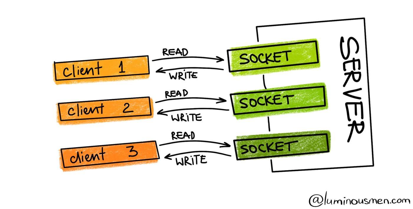 Socket & Socket Programming in Linux OS environment