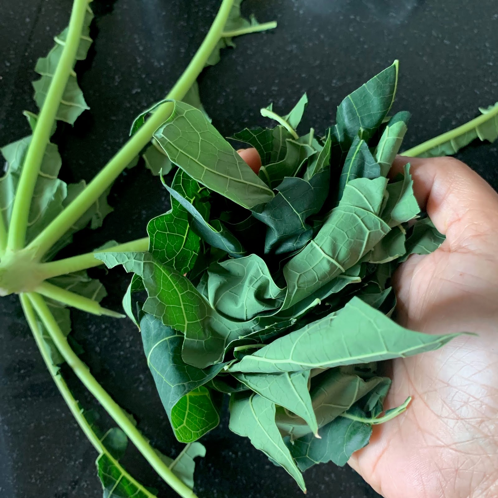 MASTERCHEFMOM How to make Papaya Leaf Juice Papaya Leaf Extract