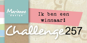 2e prijs bij Marianne design