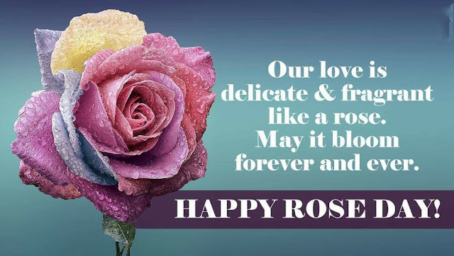 rose day quotes, quotes on rose day, rose day quotes for him, rose day quotes for love, rose day quotes for husband, rose day quotes for boyfriend, rose day unique quotes, rose day quotes for friends, rose day quotes in hindi, rose day quotes for wife, rose day quotes for gf, rose day quotes for girlfriend, rose day quotes for her, rose day quotes images, rose day quotes for lover, quotes on rose day for boyfriend, rose day best quotes, rose day images with quotes for husband, rose day quotes 2019, rose day quotes for my husband, happy rose day quotes 2019, rose day quotes for hubby, quotes on rose day for girlfriend, quotes on rose day for husband, rose day quotes for bf, rose day quotes for long distance relationship, rose day quotes for husband in english, rose day quotes for singles