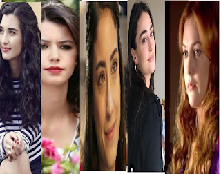 MEET 5 Beautiful Turkish actresses who won Pakistani hearts _most ...