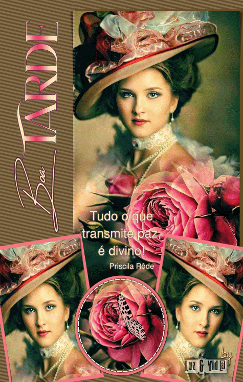 NOVO142%2B%2528MB%2529maryluz.gif