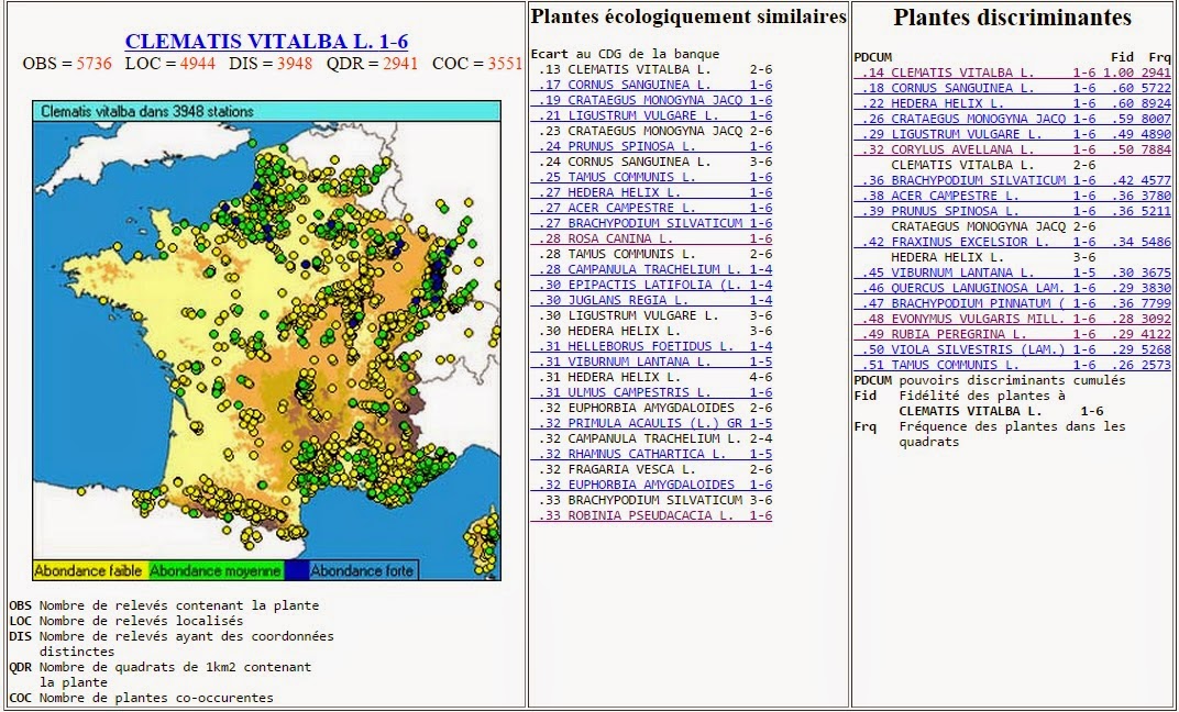 biotope%2Bcl%C3%A9matite%2Bblanche