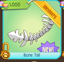 Animal Jam Community Blog: Bone Tail and Favorite Land