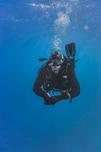 Underwater Photography in 4K - Pics Directory Underwater Photography in 4K - Pics-Directory