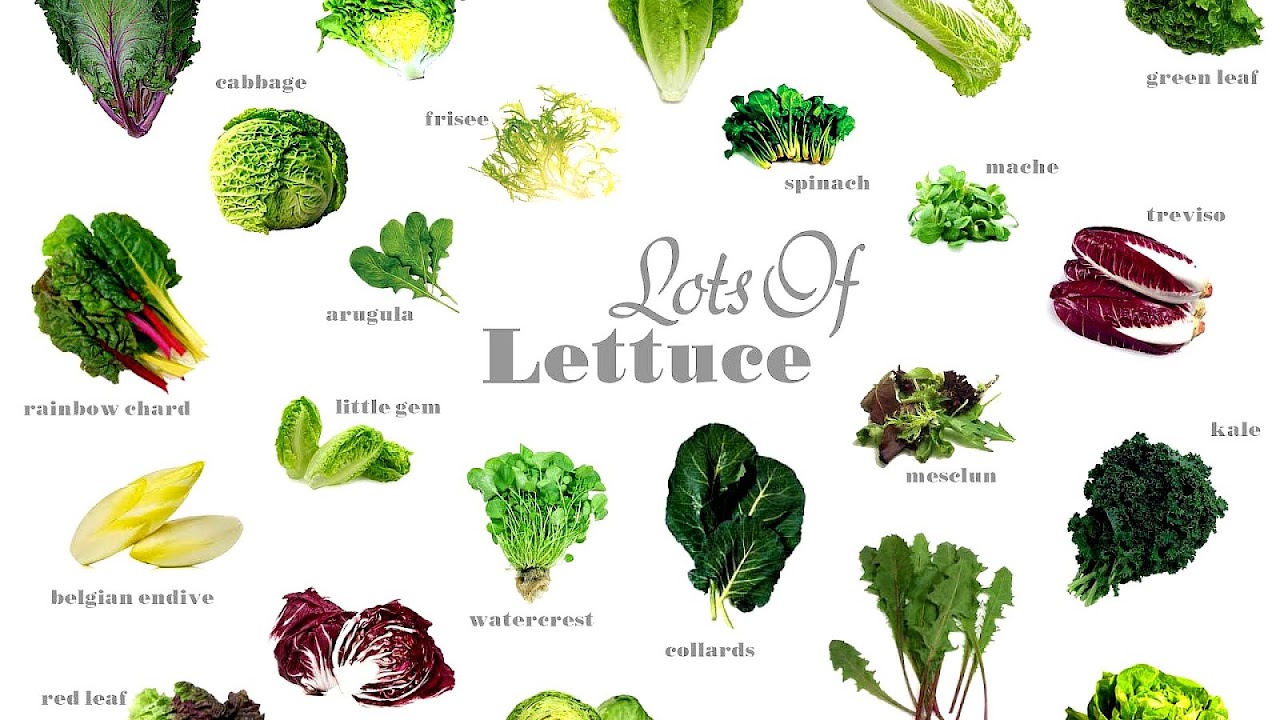 Kinds Of Leafy Vegetables - Vege Choices